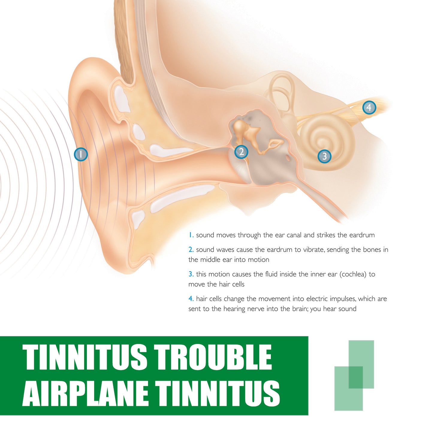 Tinnitus Ear Drops Of External Auditory Canal